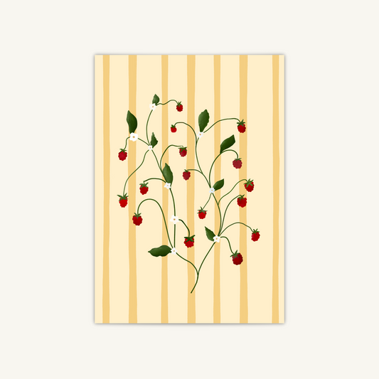 Raspberry Vine